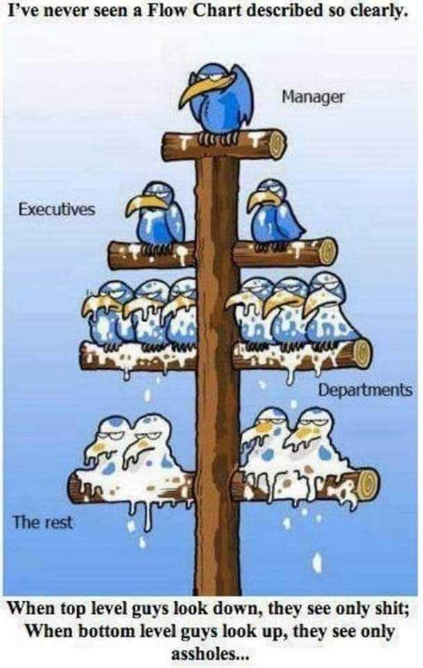 Corporate Org Chart